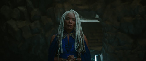 Black.Panther.Wakanda.Forever.2022.1080p.BluRayRip.x265.10Bit.AC3.5.1 JATT 005.jpg