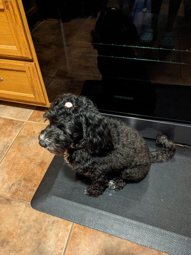 PXL 20221220 161432923.jpg