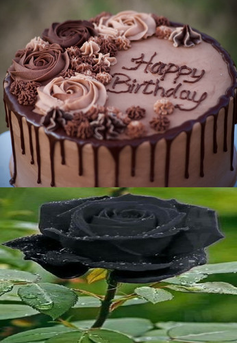 photo 1606983340126 99ab4feaa64a.jpg