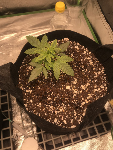 D4B09214 FC25 4569 AA97 659F4892841F.jpg