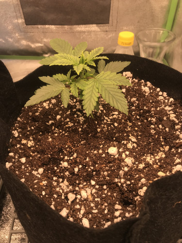 802A7DD8 B5C2 4C9C BA8C 78E7DDBF6952.jpg