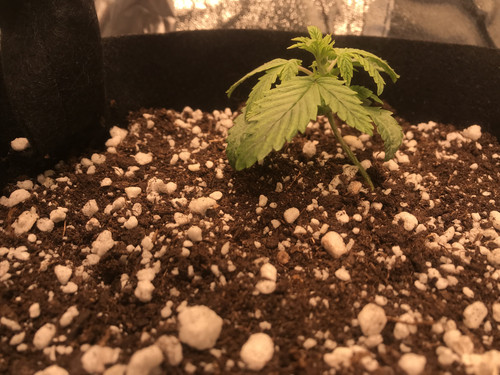 D35E57F5 4E8B 4925 BC16 F4CBAB452337.jpg