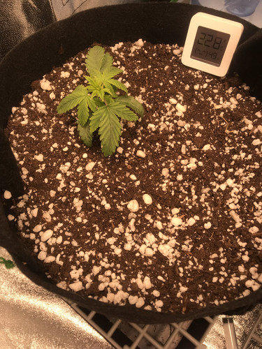 B7677171 CCAF 4FBA A2A9 07525E006CFF.jpg