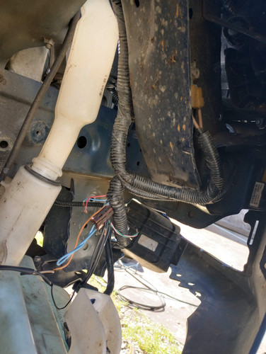 IMG 20230206 122152810 HDR.jpg