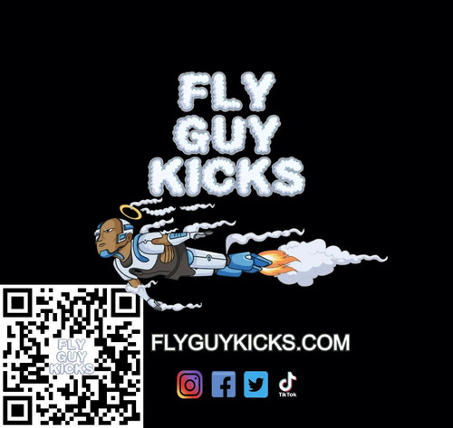 Fly Guy Kicks copy 3.jpg