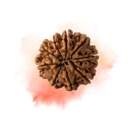 9 mukhi.png