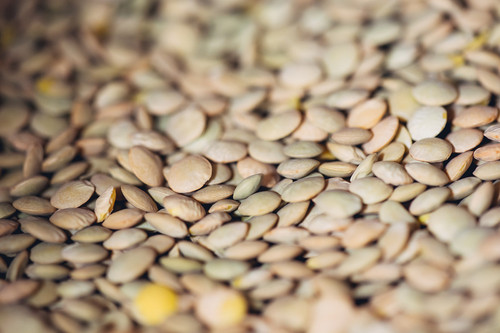 green lentils.jpg
