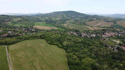 DCIM\101MEDIA\DJI_0016.JPG.jpg