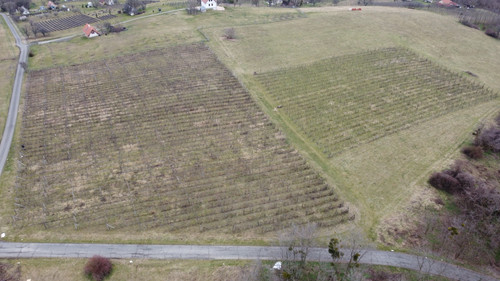 DCIM\101MEDIA\DJI_0354.JPG.jpg