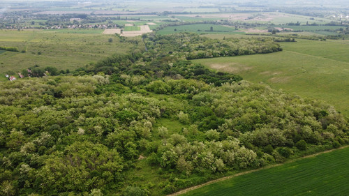 DCIM\101MEDIA\DJI_0020.JPG.jpg