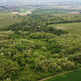 DCIM\101MEDIA\DJI_0020.JPG