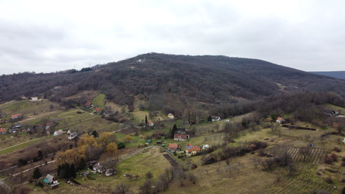DCIM\101MEDIA\DJI_0342.JPG.jpg