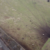 DCIM\101MEDIA\DJI_0279.JPG