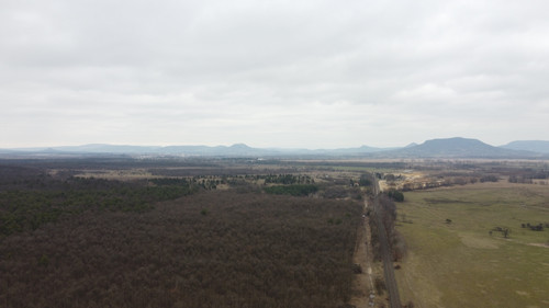 DCIM\101MEDIA\DJI_0263.JPG.jpg