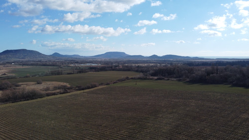 DCIM\100MEDIA\DJI_0087.JPG.jpg