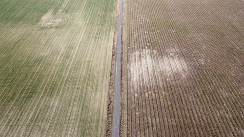 DCIM\100MEDIA\DJI_0839.JPG.jpg