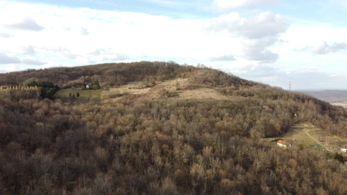 DCIM\100MEDIA\DJI_0667.JPG.jpg
