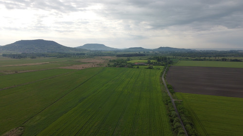 DCIM\100MEDIA\DJI_0985.JPG.jpg