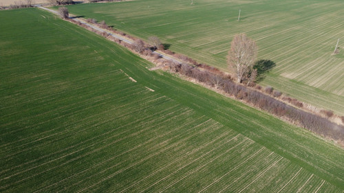 DCIM\100MEDIA\DJI_0867.JPG.jpg