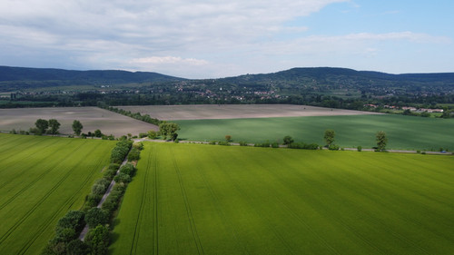 DCIM\100MEDIA\DJI_0999.JPG.jpg