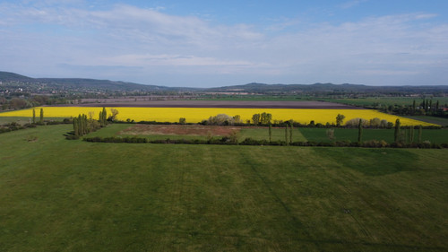 DCIM\100MEDIA\DJI_0937.JPG.jpg