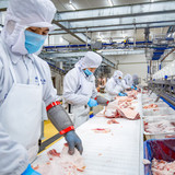 1876 CÔNG TY TNHH MEATDELI SÀI GÒN