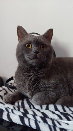 948fa727 2b2b 44fa 8c4d ee97ac7698b5.jpg