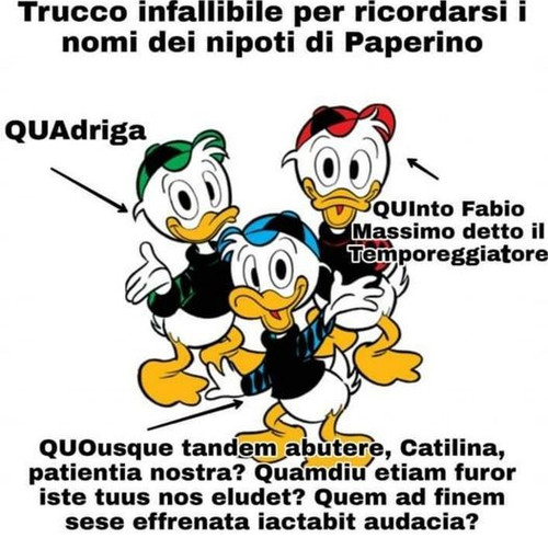 323094009 499854962027427 8104305690917570917 n.jpg