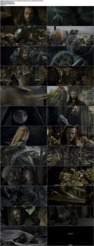 The.Hobbit.The.Desolation.of.Smaug.2013.UHD.BluRay.2160p.TrueHD.Atmos.7.1.x265.10bit.HDR BeiTai.mkv.jpg