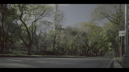 Monarca.S02E01.We.All.Have.Secrets.2160p.NF.WEB DL.DDP.5.1.HDR10.H.265 CHDWEB.mkv.crdownload 2023013.jpg