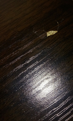 IMG 20191225 120457 059.jpg