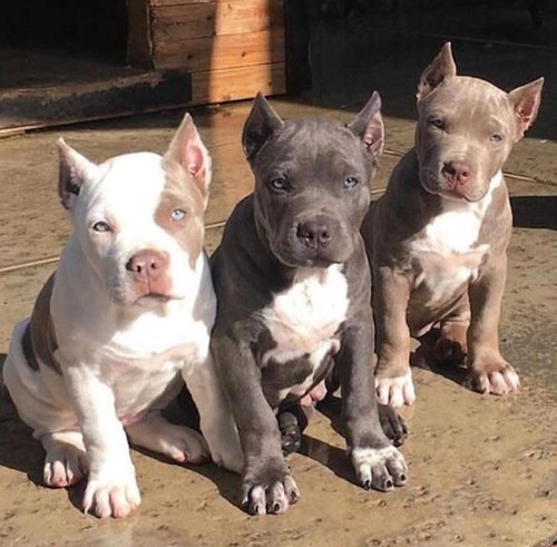 AE461415 C24B 4649 8F16 550123488AF2.jpg