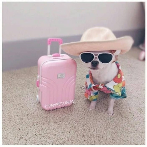 F6C87C66 9C0A 4355 BB92 C6E1619344DE.jpg