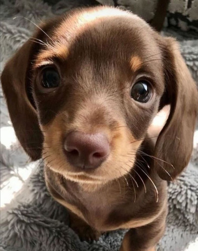 4D9AABC8 A72E 46A8 B768 25DD60639C06.jpg