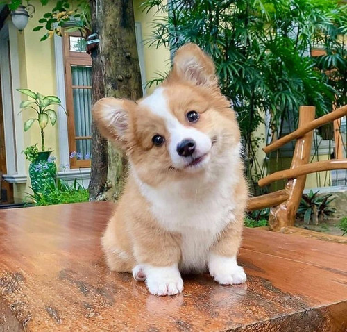 E78B9A45 90E6 4391 9344 E7F0ECAF3B8B.jpg