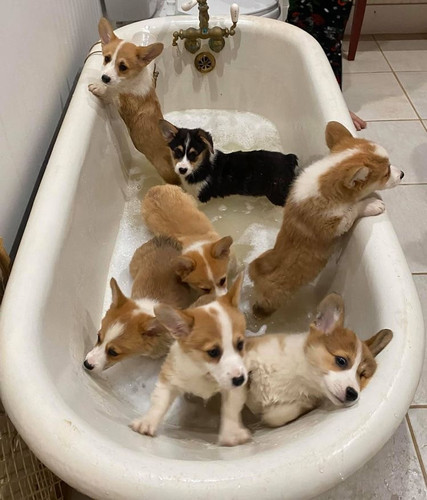 6DEEED1D 61BF 486E A4AB 51711F16D564.jpg