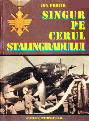 Ion Profir Book cover.jpg