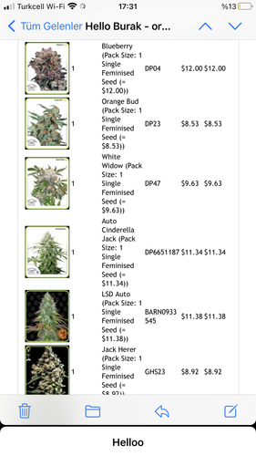 FBC3340F 984A 447F BC4D 7BAB732215D4.png