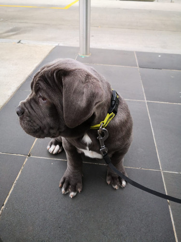 IMG 20230204 WA0013.jpg