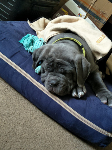 IMG 20230204 WA0038.jpg