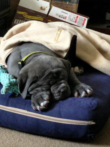 IMG 20230204 WA0039.jpg