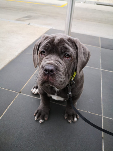 IMG 20230204 WA0012.jpg