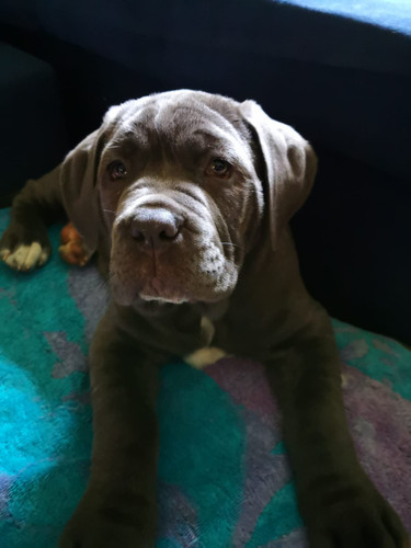 IMG 20230204 WA0014.jpg