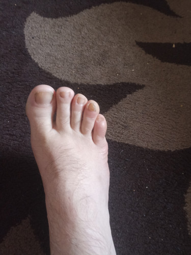 IMG 20230205 150734.jpg