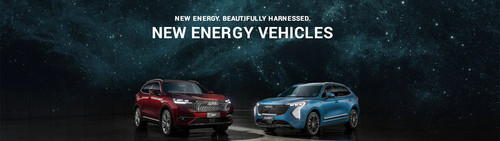 225559 havalevs template hpb oct22 hc.jpg