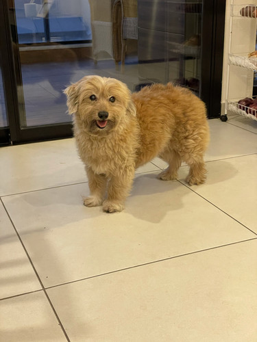 E2030CEA 7B7A 4A1B A875 DDBF76212D79.jpg