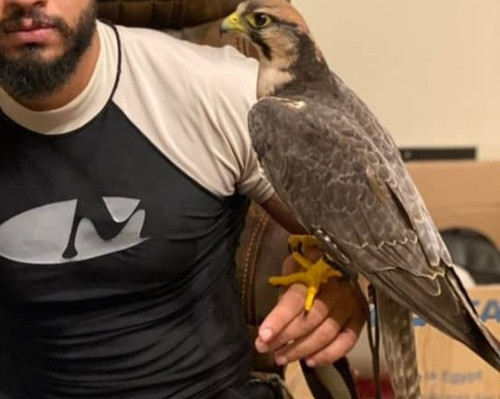 Screenshot 20230125 190852 Instagram.jpg