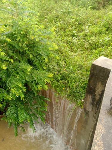 WhatsApp Image 2023 02 06 at 10.27.41 AM.jpg