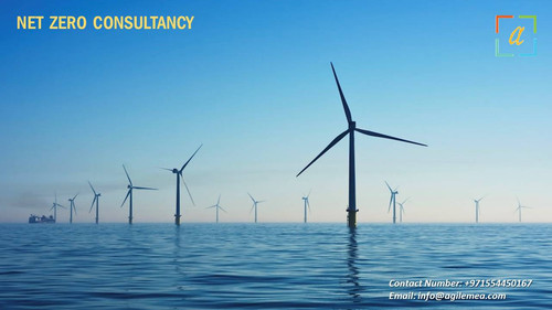 Net zero Consultancy 5.jpg