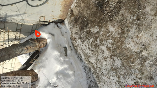 IMG 20230206 141915.jpg